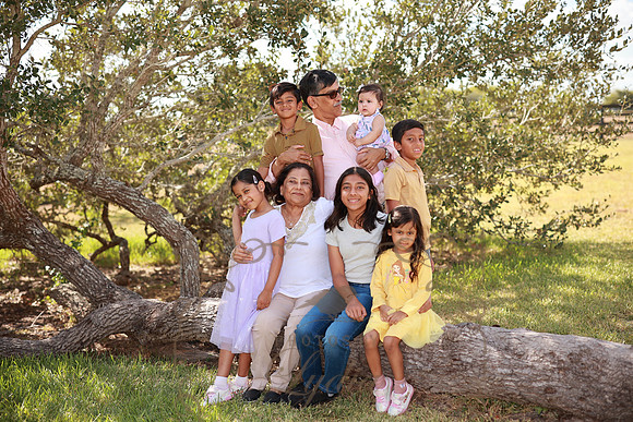 Family (37)