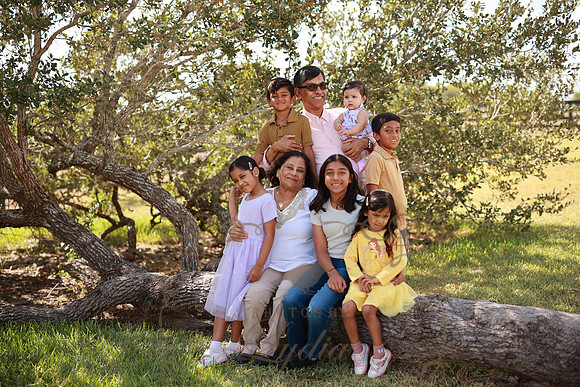 Family (38)