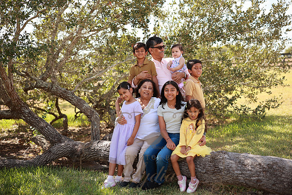 Family (39)