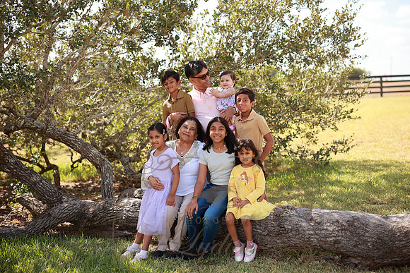 Family (42)