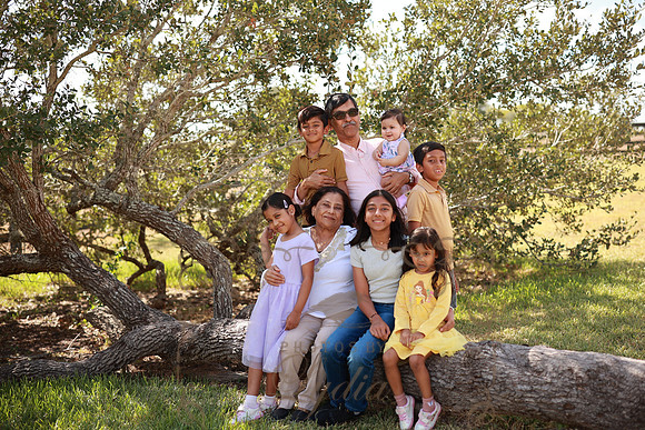 Family (41)