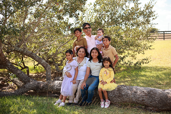 Family (43)