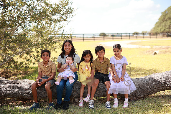 Family (44)