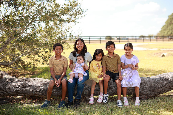 Family (47)