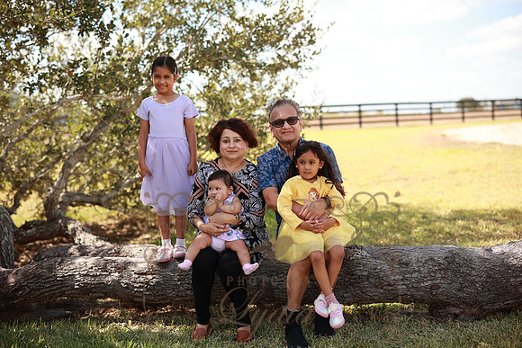 Family (51)