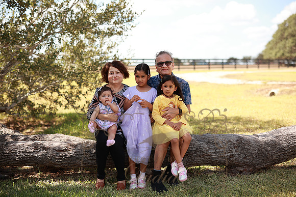 Family (52)