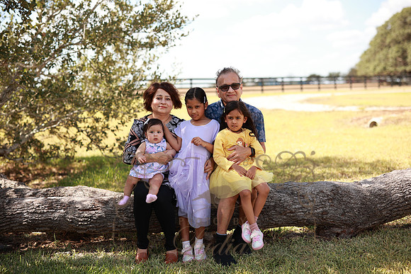 Family (53)