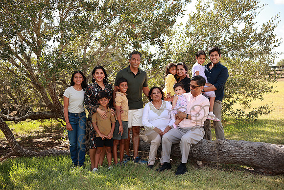 Family (57)