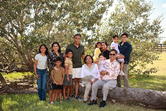Family (56)