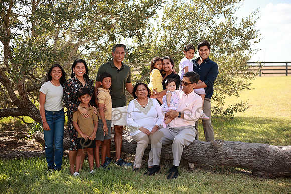 Family (58)