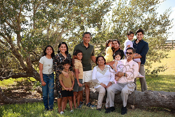 Family (60)