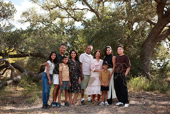 Family (62)