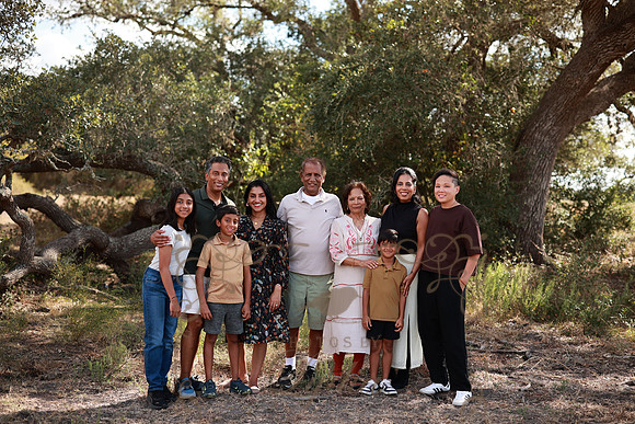 Family (61)