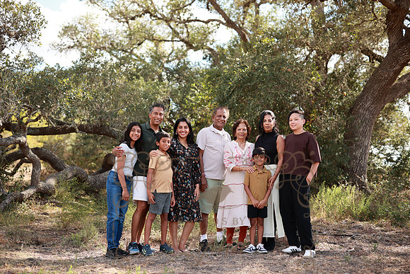 Family (63)
