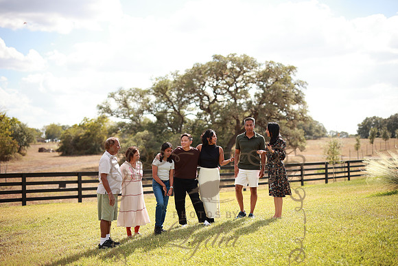 Family (74)