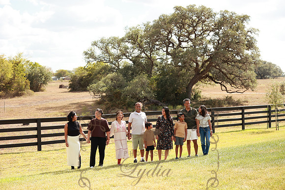 Family (81)