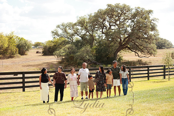 Family (82)
