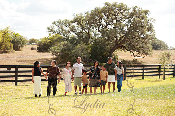 Family (84)