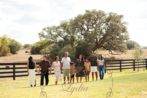 Family (85)