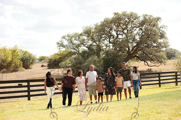 Family (86)