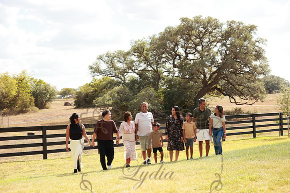 Family (87)