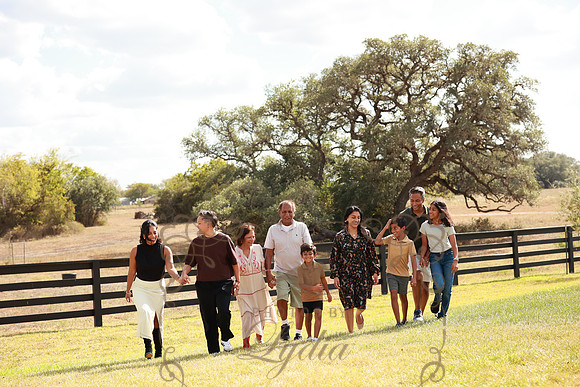 Family (90)