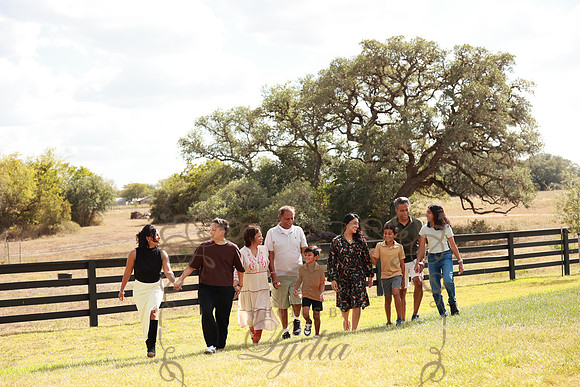 Family (89)