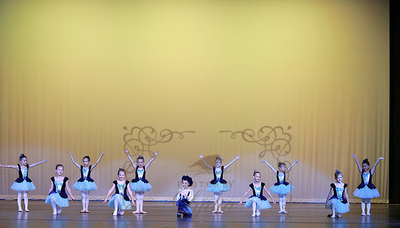 Pied Piper (77)