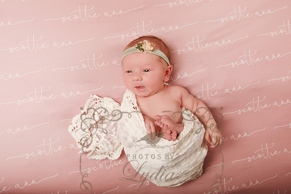Scottie-9716