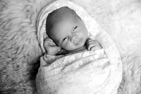 IMG_9243bw