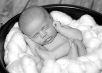 IMG_9264bw