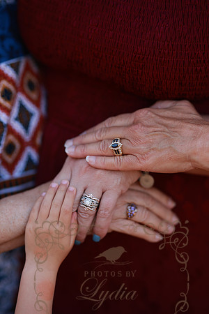 Family-7283