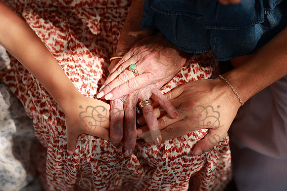 Family-3659