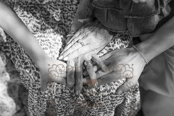 Family-3659-2