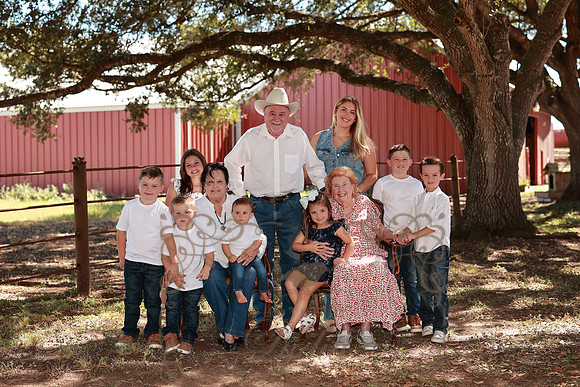 Family-3709
