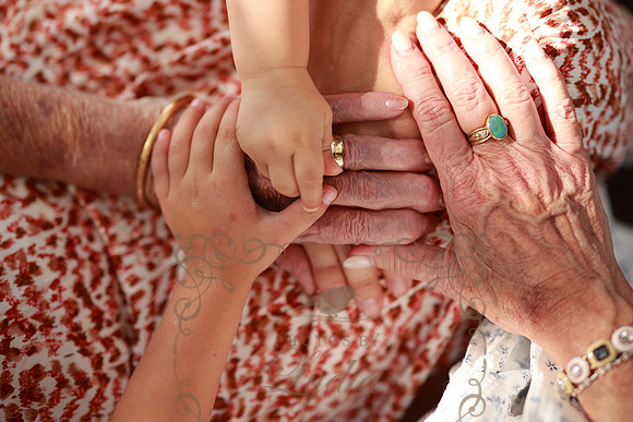 Family-3863
