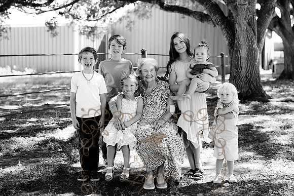 Family-3895-2