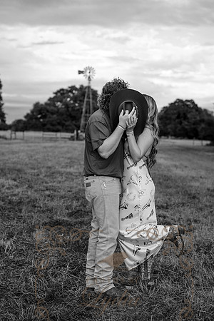 C&K-3193b