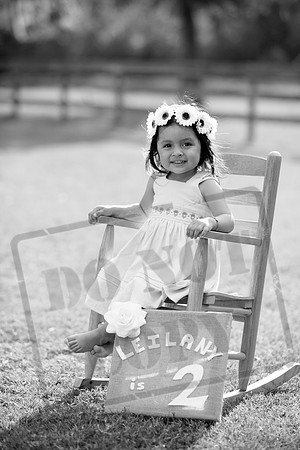 IMG_1886bw