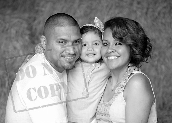 IMG_1952bw