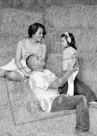 IMG_1990bw