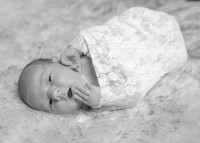 IMG_2771bw
