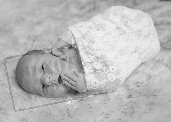 IMG_2771bw