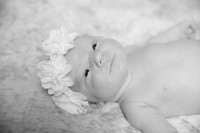 IMG_2784bw