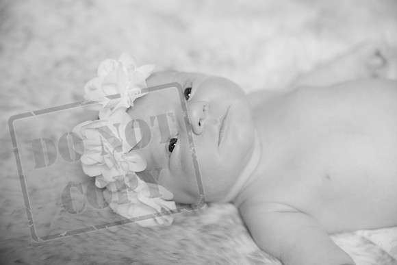 IMG_2784bw