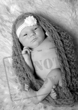 IMG_2808bw