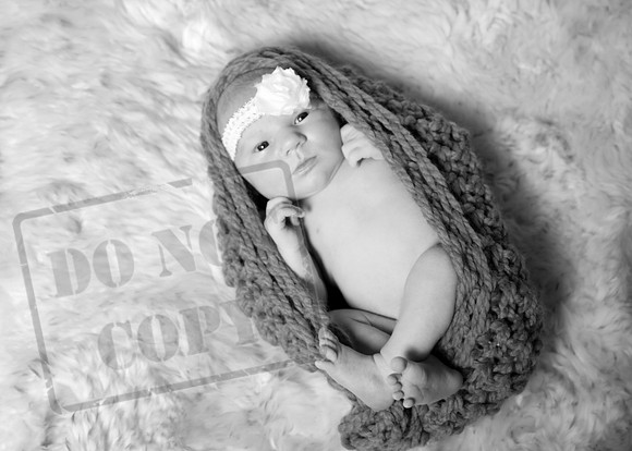 IMG_2813bw
