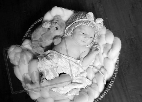 IMG_2820bw