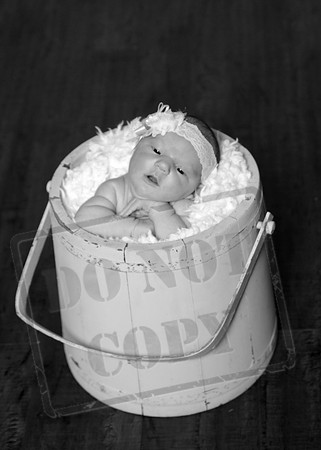 IMG_2887bw