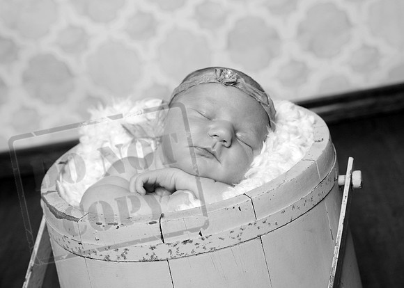 IMG_2908bw